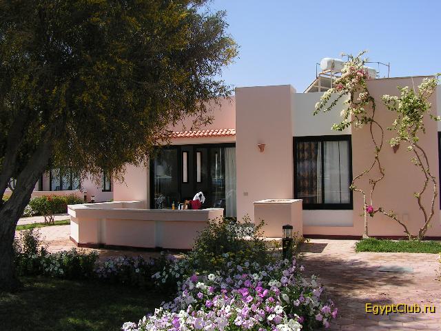 ������� � 565