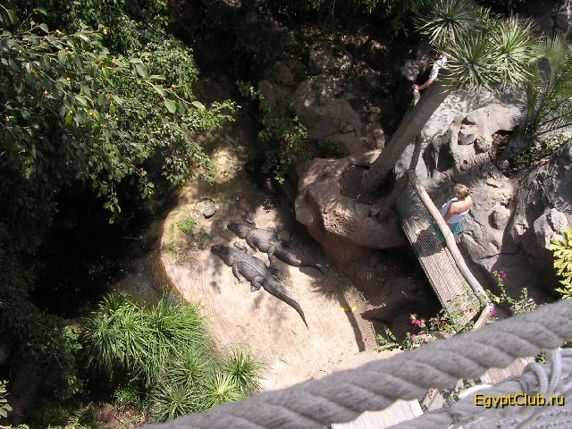 ���� �� �����