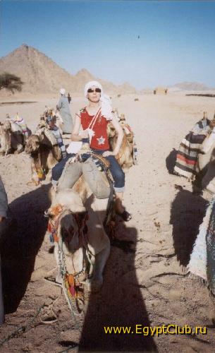 �� ��������