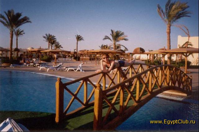 �� ������� (����� Desert Rose)