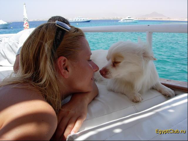 � � ��������� ������� ��� ����