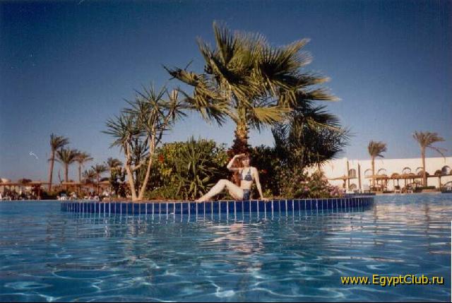 ������� ����� Desert Rose