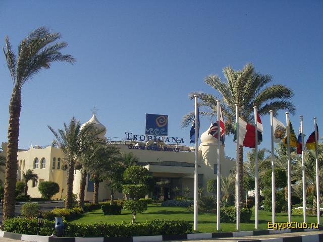 ����������� ���� � �����