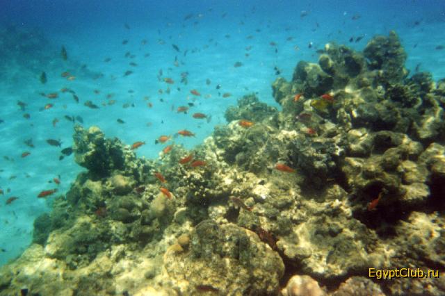 �������� ������� �����!!!