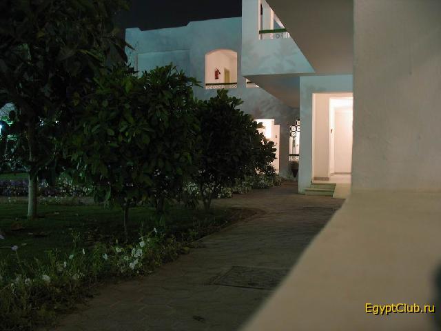 7 ������ �����