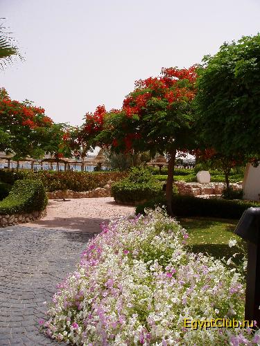 ���������� �����