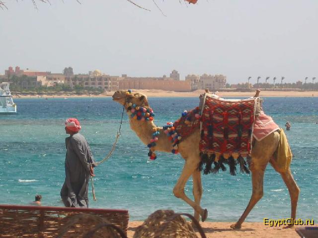 Iberotel Makadi Oasis