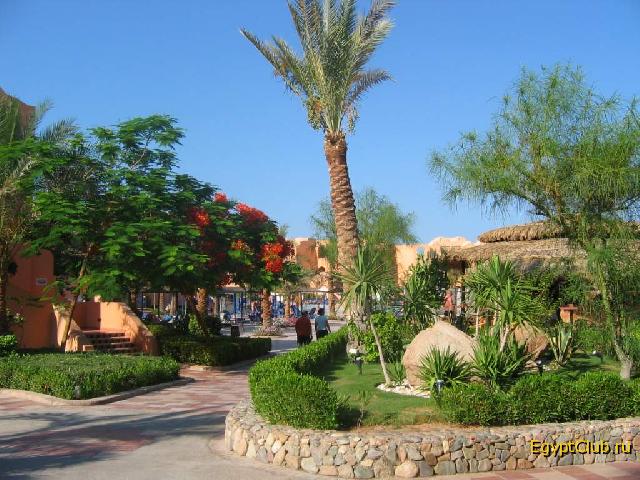 Iberotel Makadi Oasis