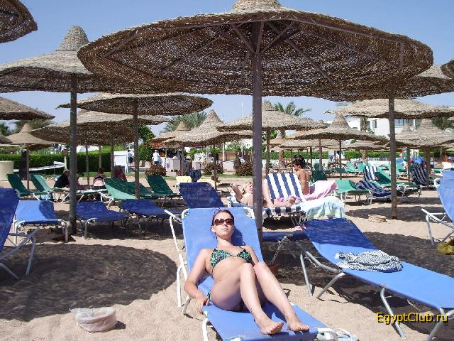 ���� ����