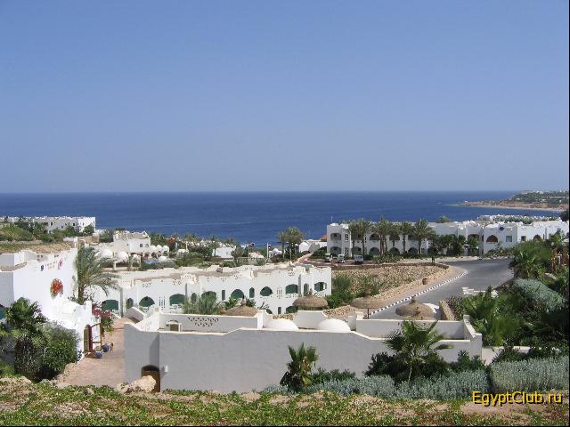 ��� � ������� 56 �������