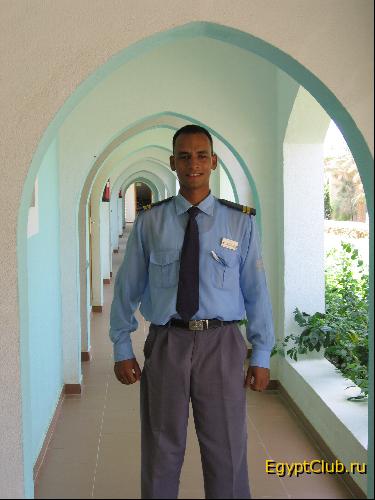 ������ ������