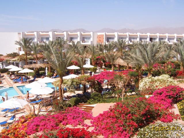 �������� ������