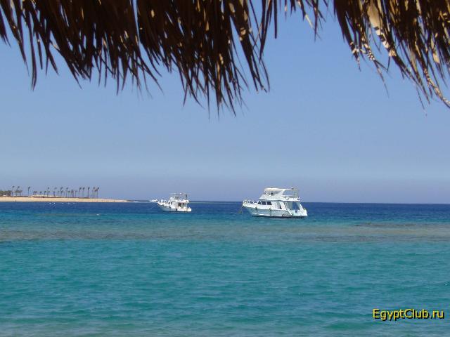 ��� � �����