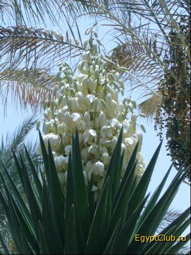 �������� ������ � ��������