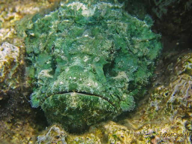 ����������