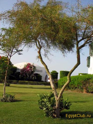 �������������� �� ���������� �����