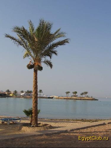 Hilton Resort.... ��������