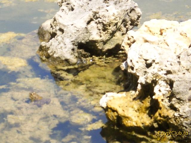 ����������