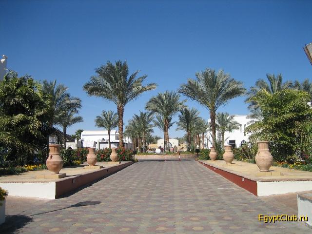 ����������� �������