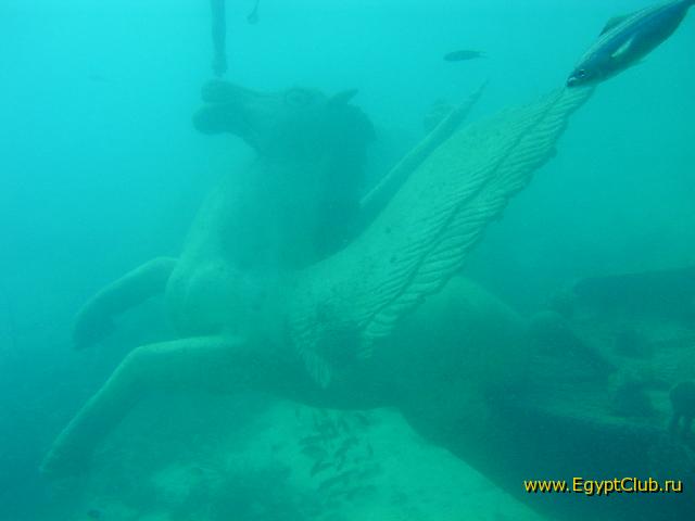 ���������� �������