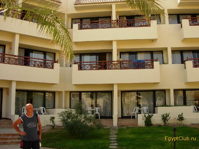 ����� ����� �����