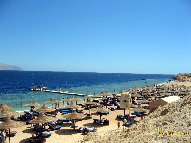 ���� ����� ������� ���