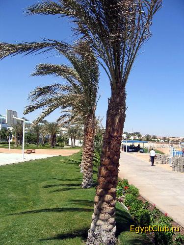 ���-�� ���� ��������� ����� ���� ����� ������� ���