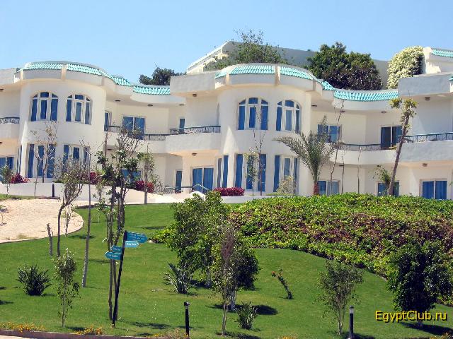 ����� ����� ������ ���