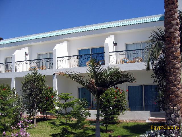 ������ ������� ���