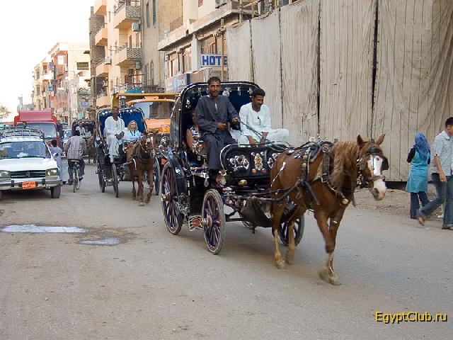 ������ ����� ����������