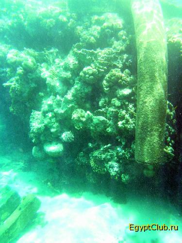 ��� Hyatt/Intercontinental (����)