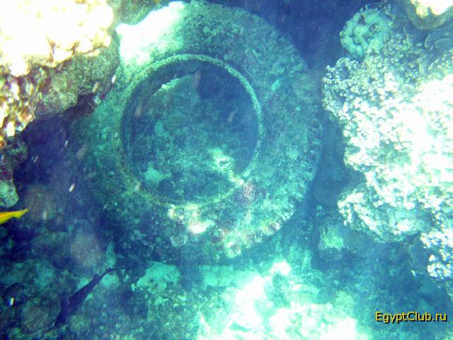 ��� Hyatt/Intercontinental (����)