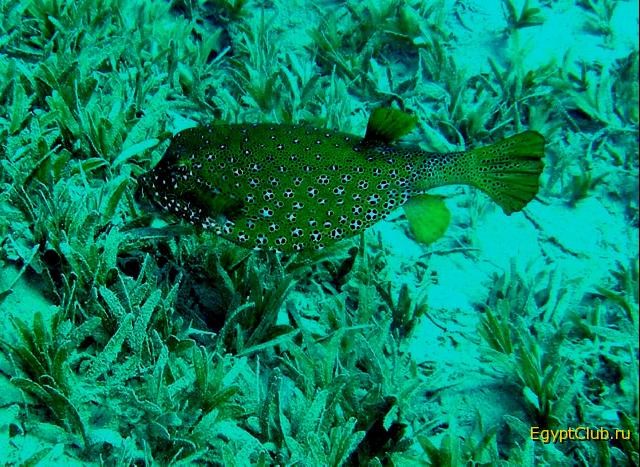 ���������-�������