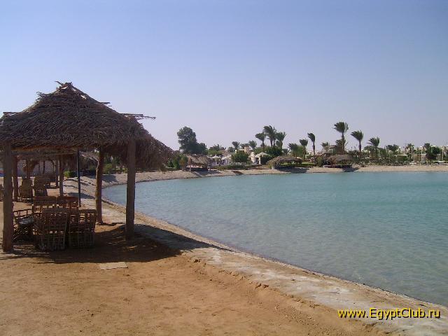 ������/�������