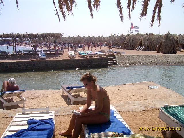 ���� ������/�������