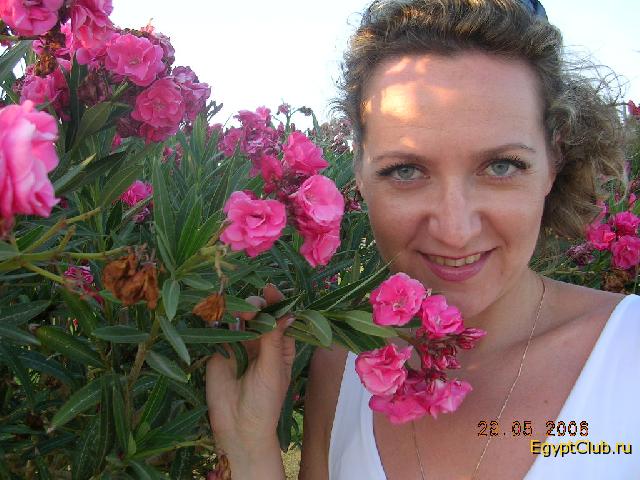 Falconet ������� �� ��� - ���������� � �����! ))