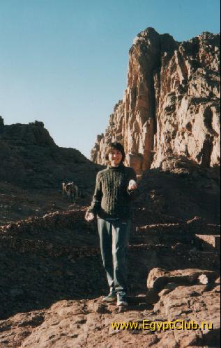 � �������� ��� �� ��������� ���� �����