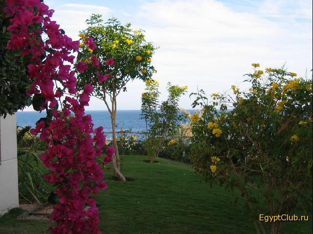 ���������� ����� ����� ������� 1