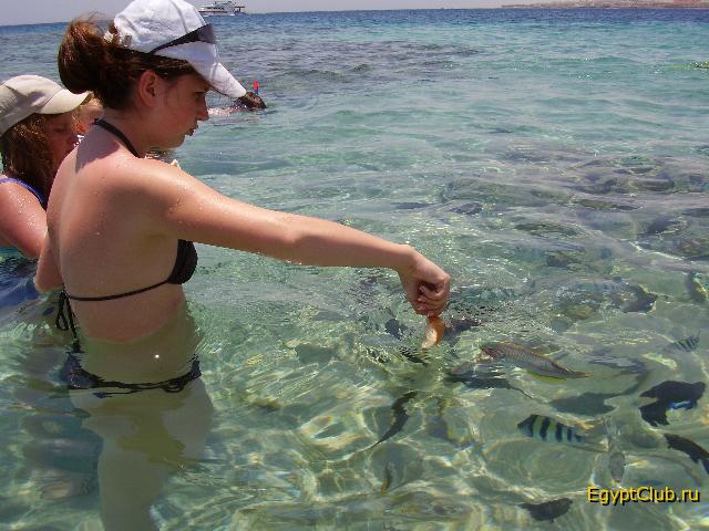 ��������� ��� �� ������