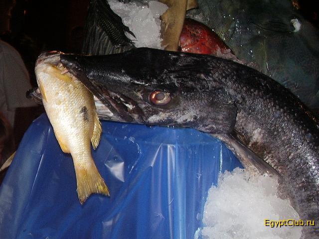 ����� �� �����