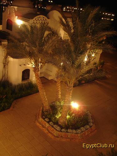 ������ �� ����������