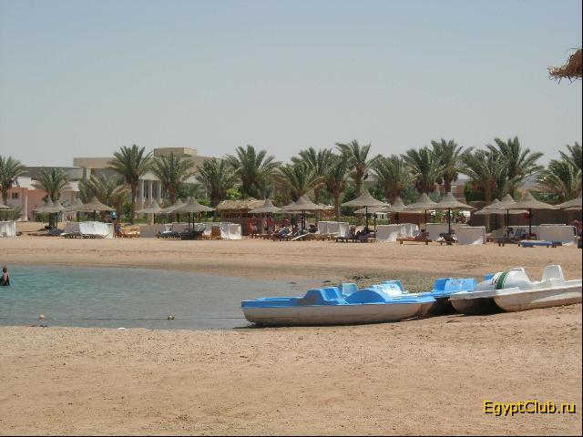 ���� ���� �����