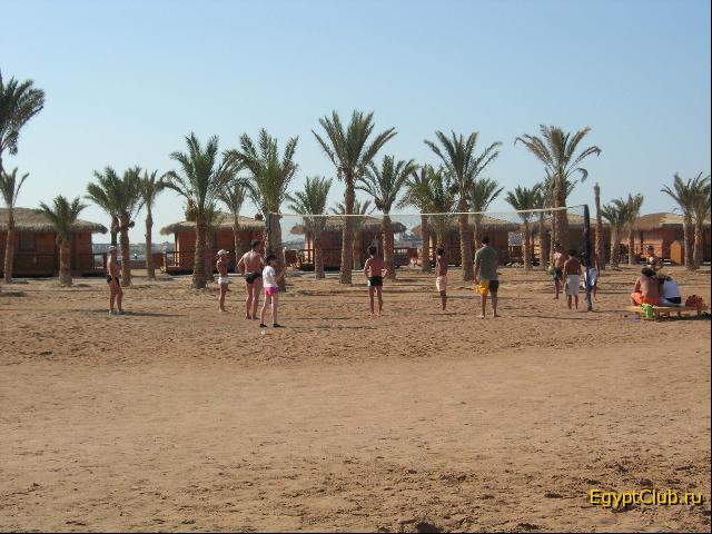 ������� ���������