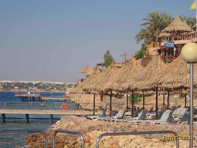 ����� ������ ����������� ����