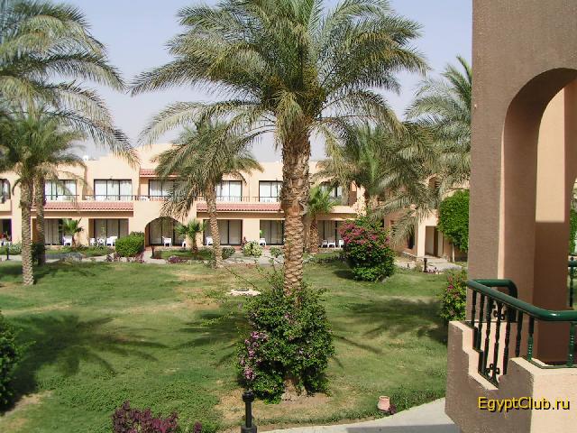 ��� �� ������