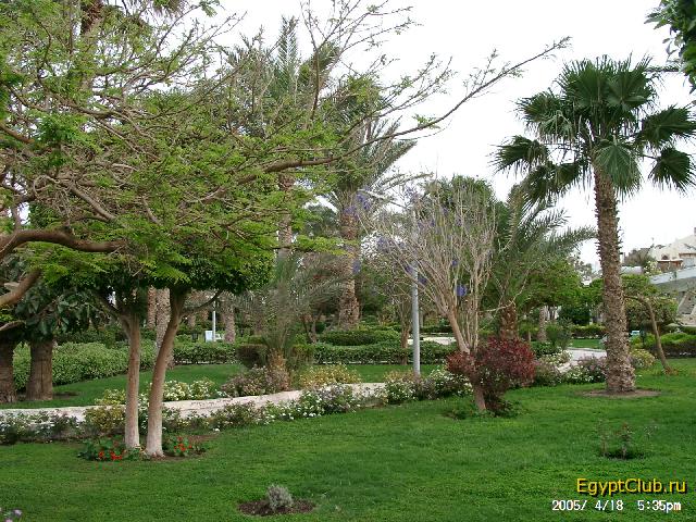 Shedwan Golden Beach