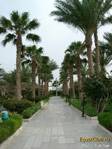 Shedwan Garden Beach