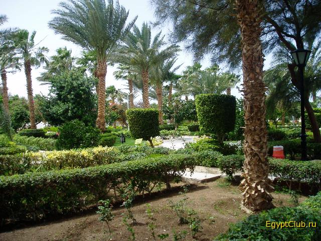 Shedwan Golden Beach