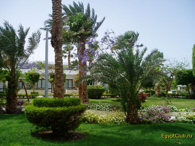 Shedwan Golden Beach