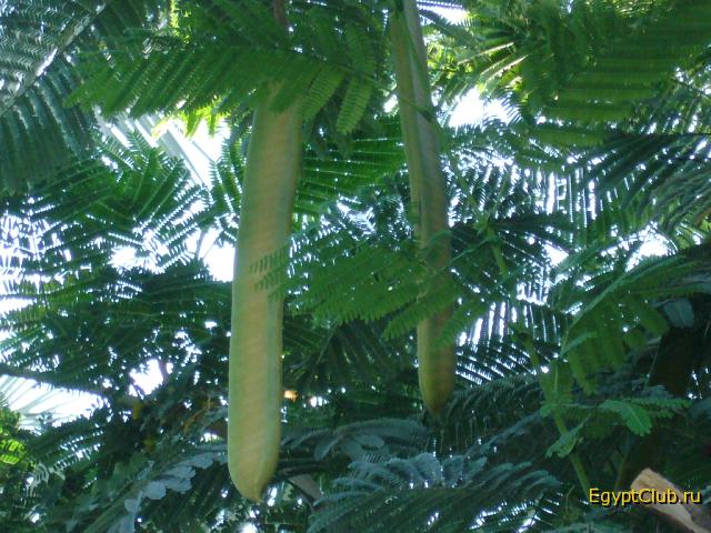 �������������� � ������